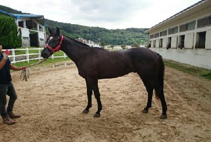 ���ں��� ����