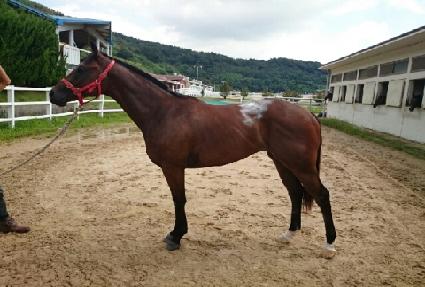 �ػ�ǳ ����