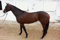 GYEOUL WANGGUK picture