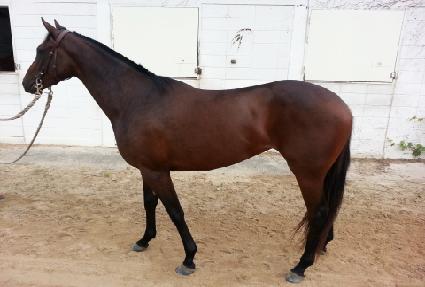 �ܿ�ձ� ����