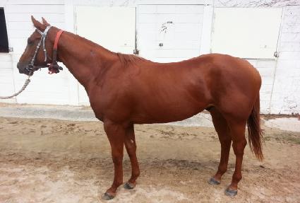 ���������� ����