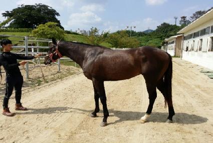 �����Ŵ� ����