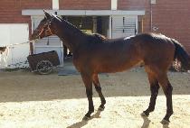 �׽ÿ� (AXION) ����