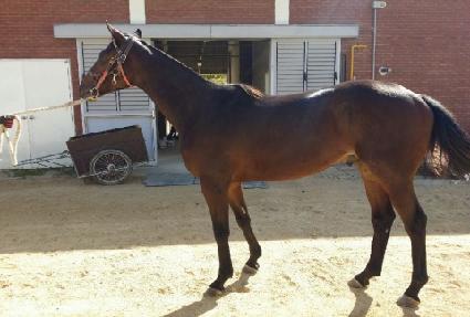 �׽ÿ� ����