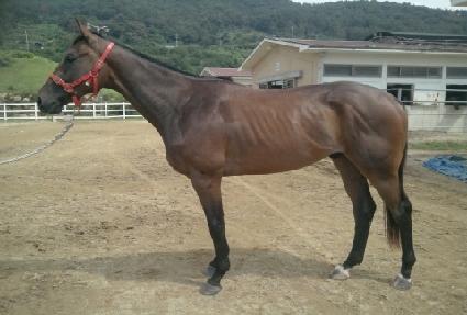 ���׽��ھ� ����