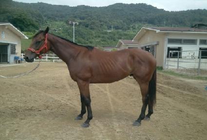 �Ҹ����� ����