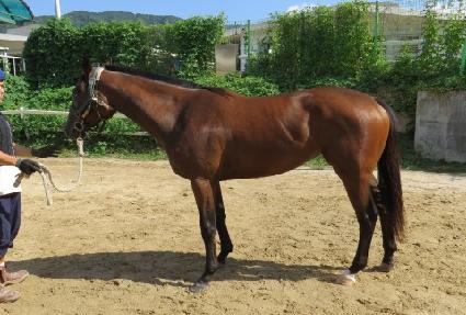 ����ġ ����