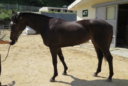 �޷����� ����