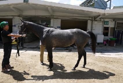 ���̴�ũ��� ����