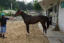 �ο����̹� (ROYAL FAVOR) ����