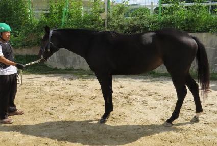 ���۶���Ʈ�� ����