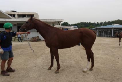 ����è�� ����