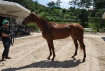 �¸���� (SEUNGNI MOTION) ����