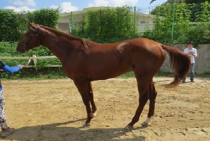 ����Ǯ�귯 ����