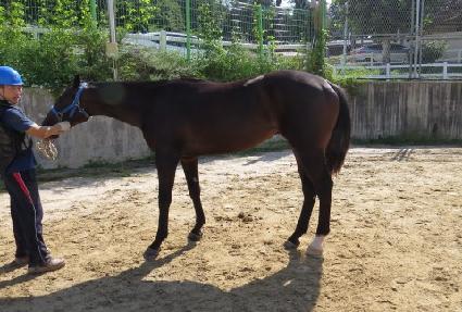 �ο������� ����