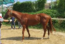 ���ڿ��� (ECO WANGJA) ����