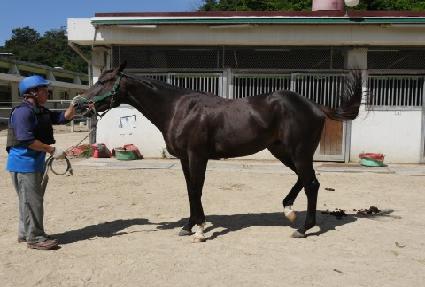 �������� ����