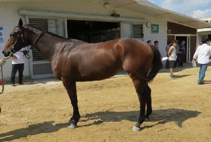 �Ƹ��ٿ�� ����