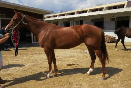 �ӽ����� ����