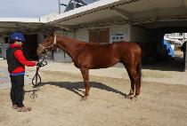 ������� (BOEUN YONGSA) ����