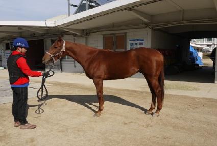 ������� ����