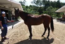 ������� (BIG BLEND) ����