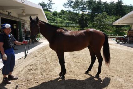 ������� ����