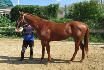 �ű��Ķ� ����