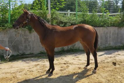 ������� ����