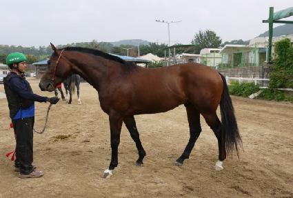 ��õ�� ����