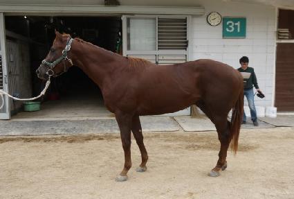 õ�� ����