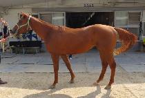 �̽���ť�ǵ� (MR. CUPID) ����