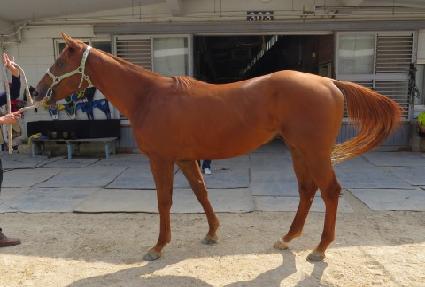 �̽���ť�ǵ� ����