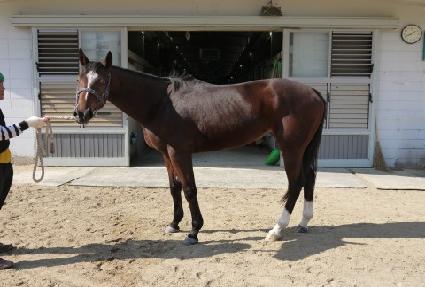 ����巡�� ����