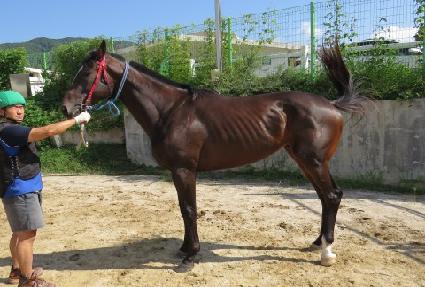 �����ȣ ����