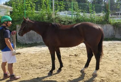 ���÷���ƽ�̼� ����