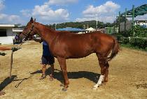 �������� (SEONGEUN BULPAE) ����