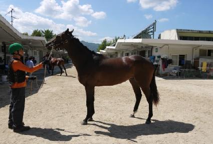 ��ȣ�뼼 ����