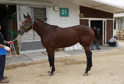 ��Ʈ���� ����