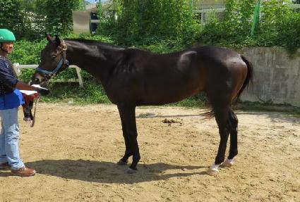 ����Ʈ�� ����