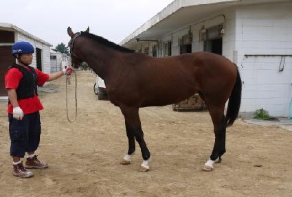 ���丮�ڸ� ����