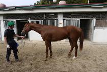 �����Ѽ��� (JEOLMYOHANSEONTAEK) ����