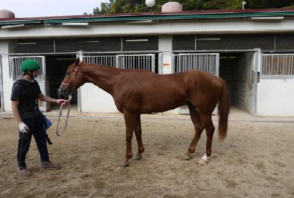 �����Ѽ��� ����