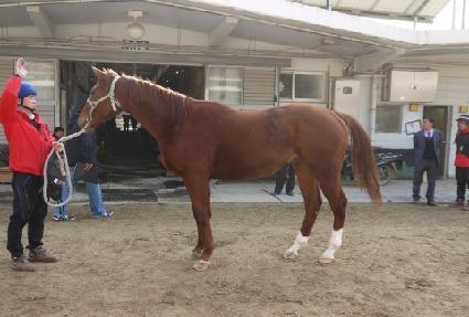 ť�ǵ��Ȱ ����