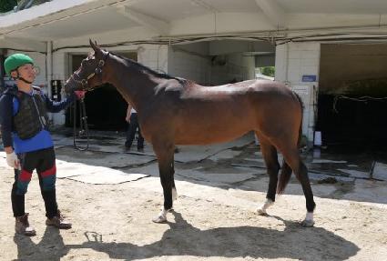 �����۽�Ʈ ����