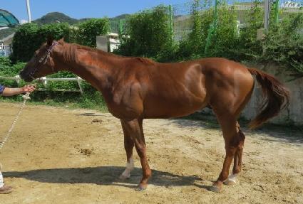 �´�巡�� ����