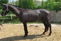 �ؿ� (HAEUN) ����