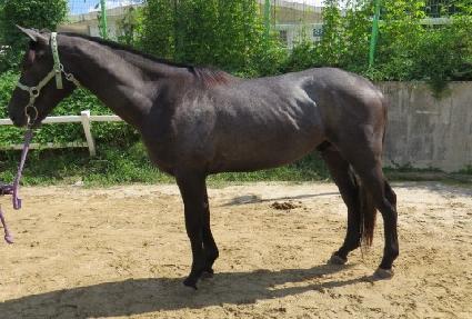 �ؿ� ����