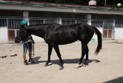 ü�̴̽޷��� ����