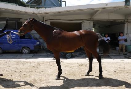 �Ŀ������� ����